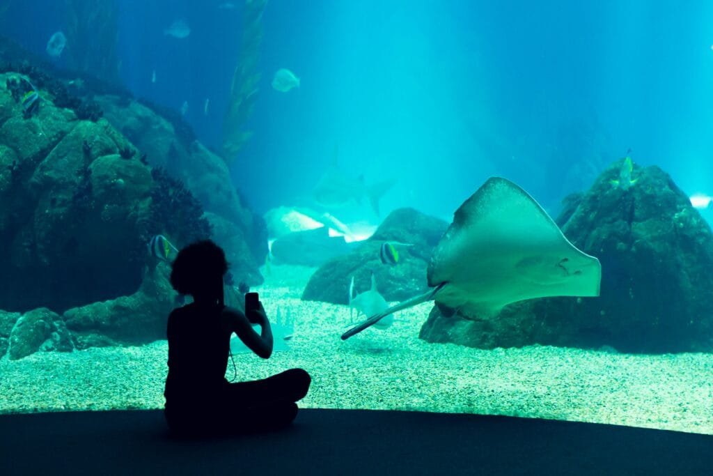 Aquarium Lissabon met kinderen