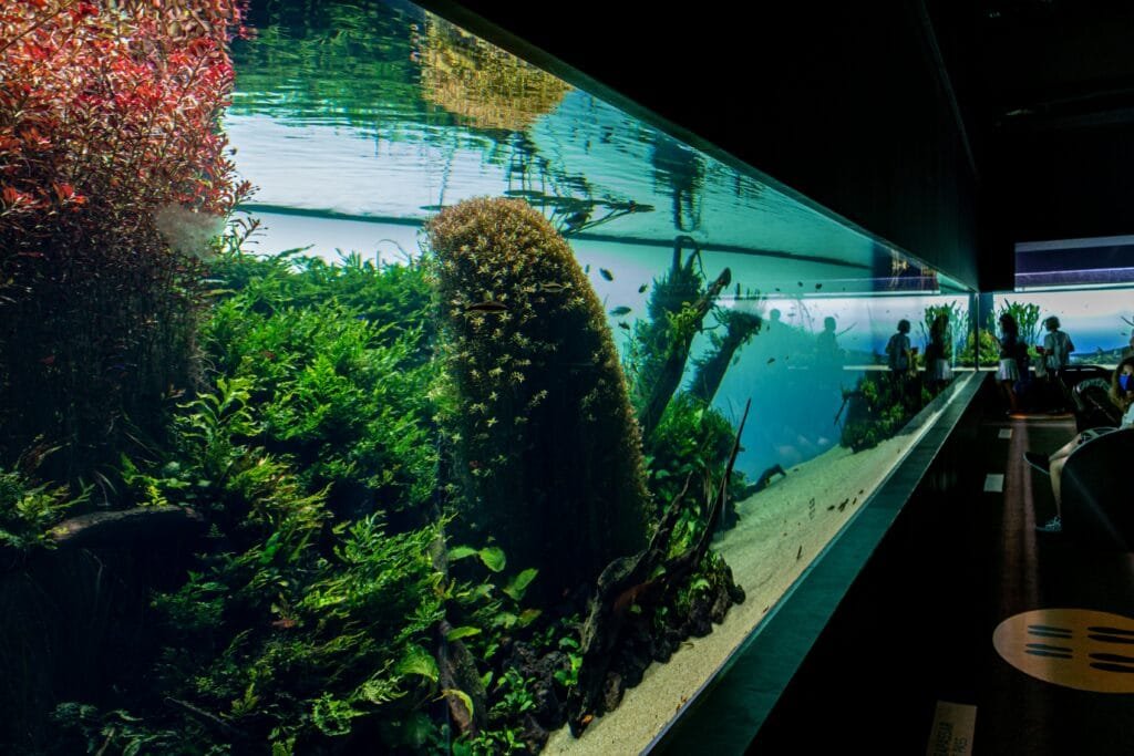 Aquarium Lissabon