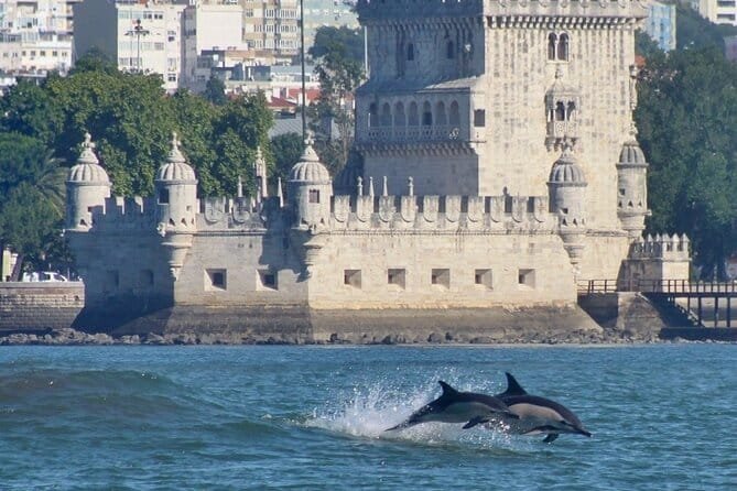 Dolfijnen spotten Lissabon