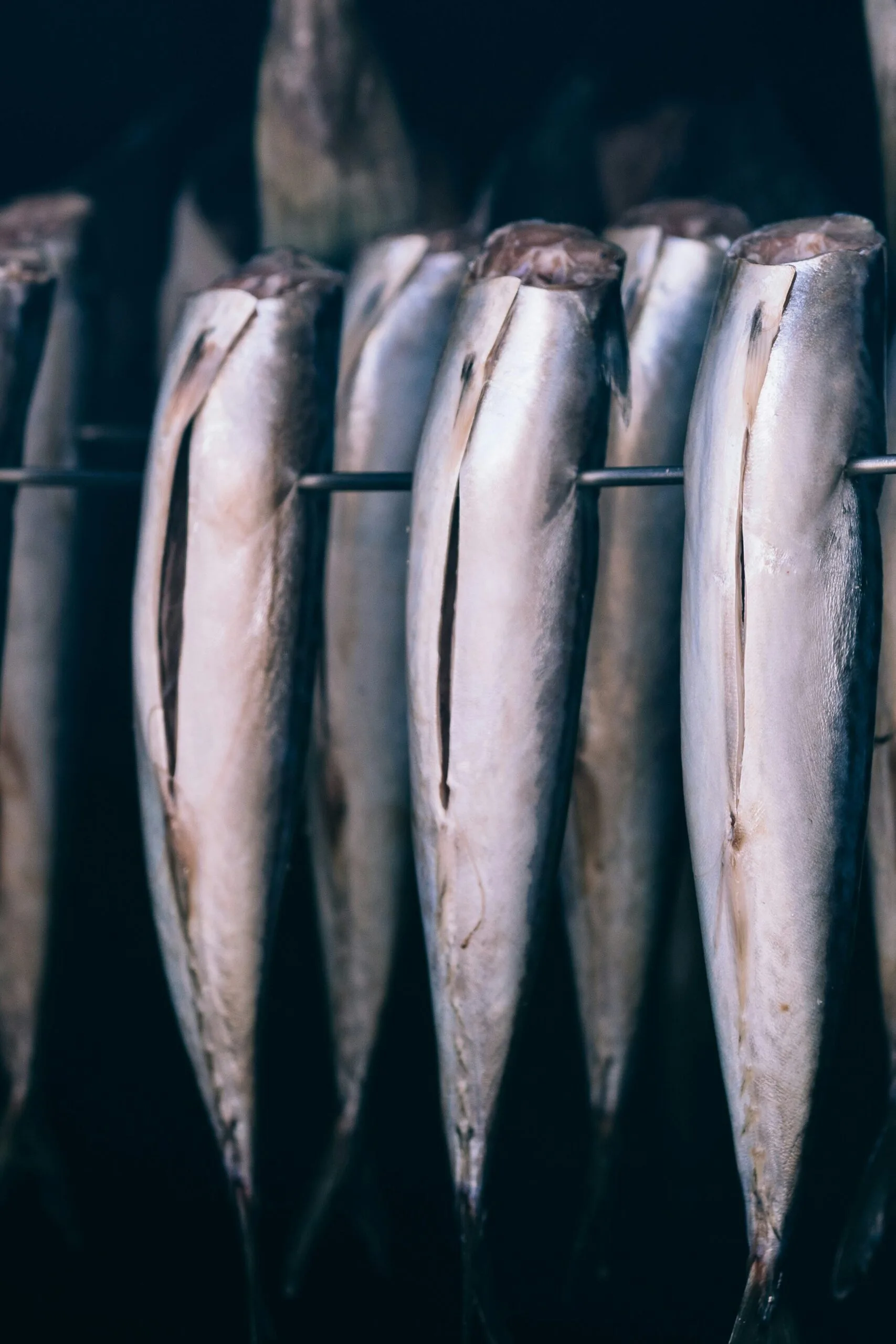 Bacalhau Lissabon